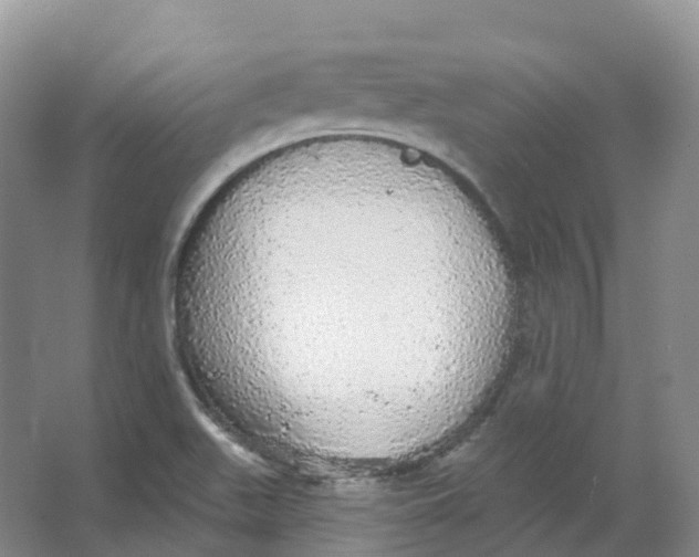 X0000066971511200604142127