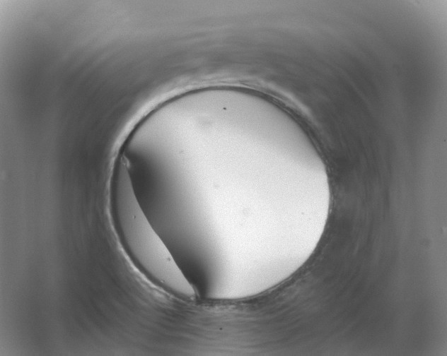 X0000066971512200604142127