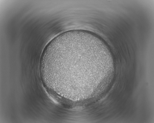 X0000066971513200604142127