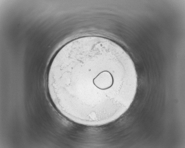 X0000066971514200604142127