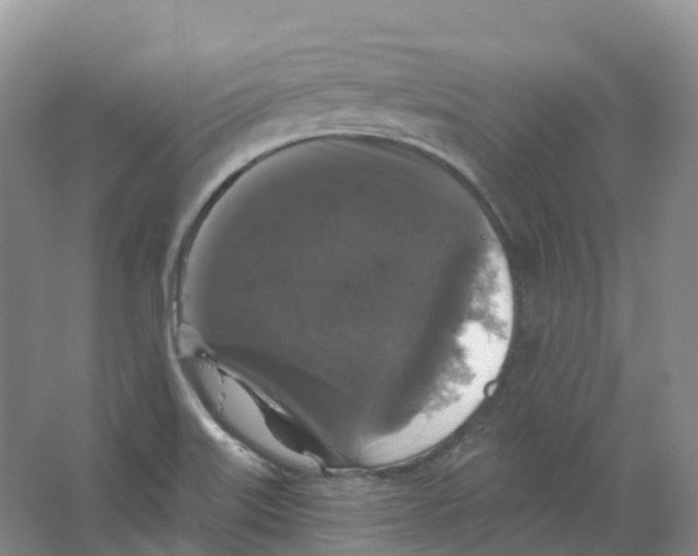 X0000066971515200604142127