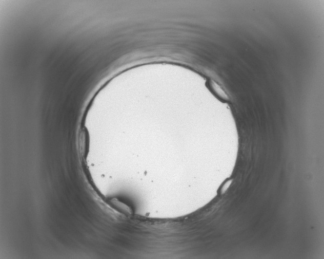 X0000066971516200604142127