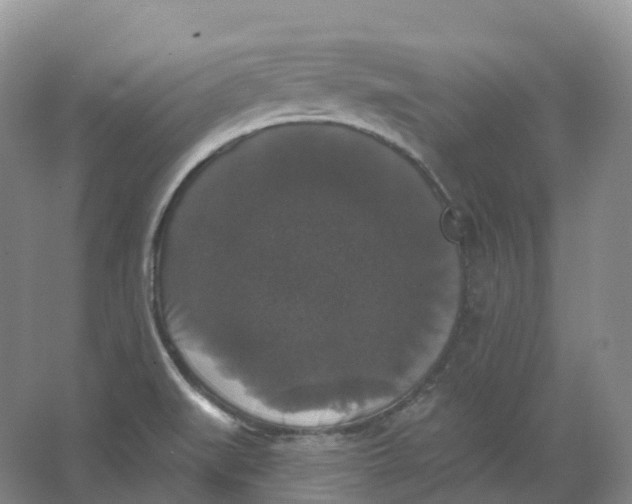 X0000066971519200604142127