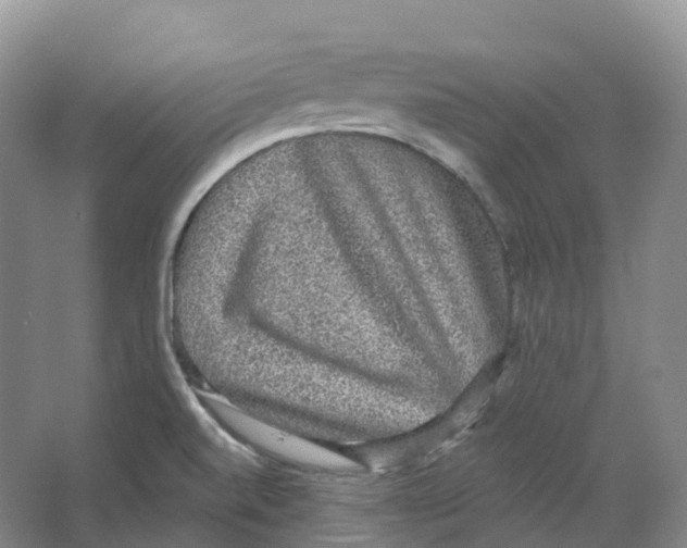 X0000066971520200604142127