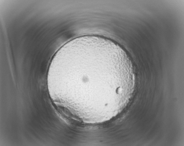 X0000066971521200604142128