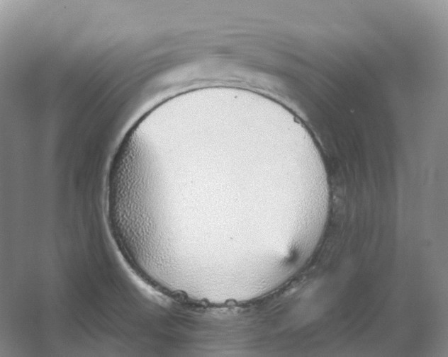 X0000066971523200604142128