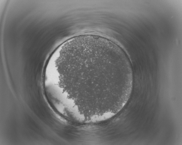 X0000066971525200604142128