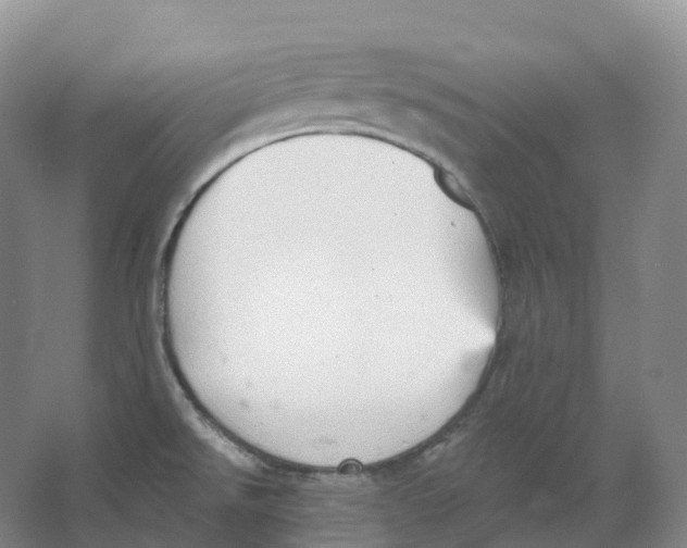 X0000066971526200604142128