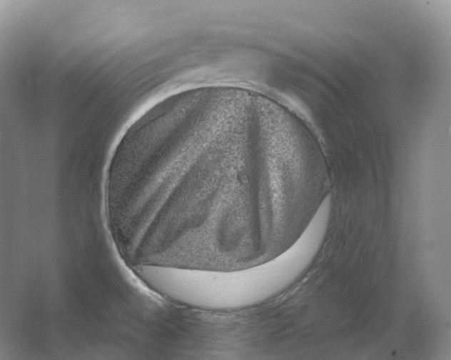 X0000066971528200604142128