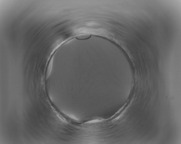 X0000066971529200604142128