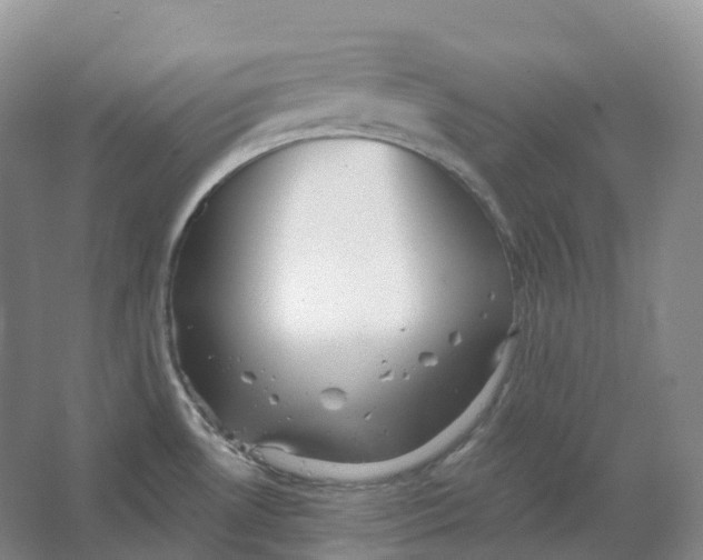 X0000066971530200604142128