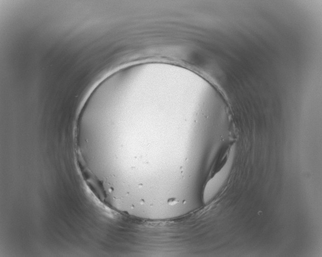 X0000066971532200604142128