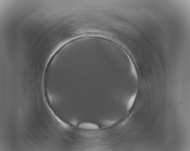 X0000066971533200604142128