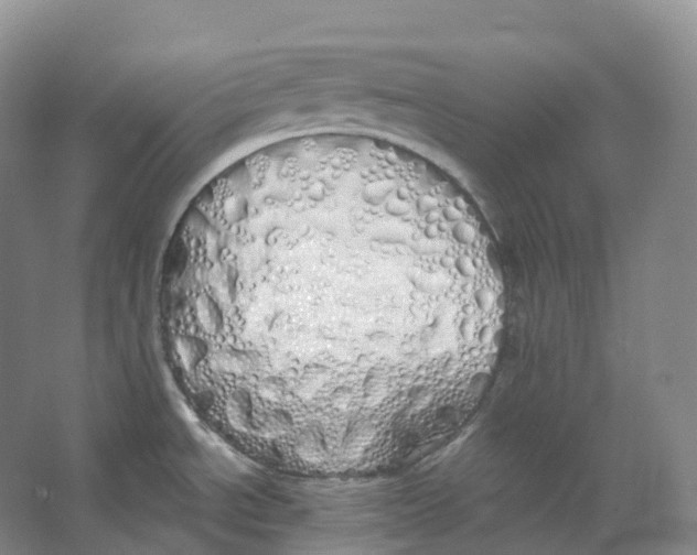 X0000066971534200604142128