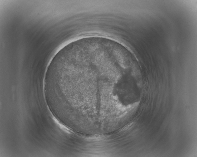 X0000066971535200604142128