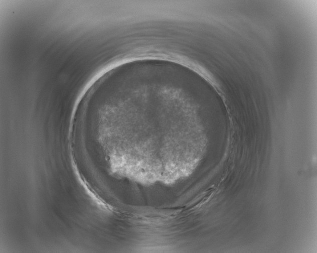 X0000066971536200604142128