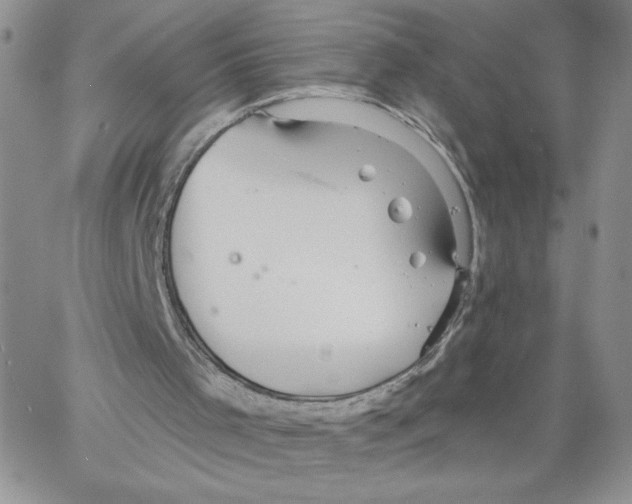 X0000066970001200604211918