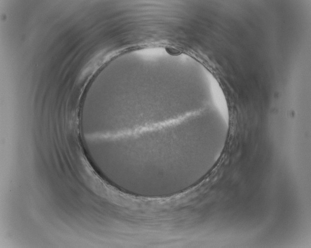 X0000066970002200604211918