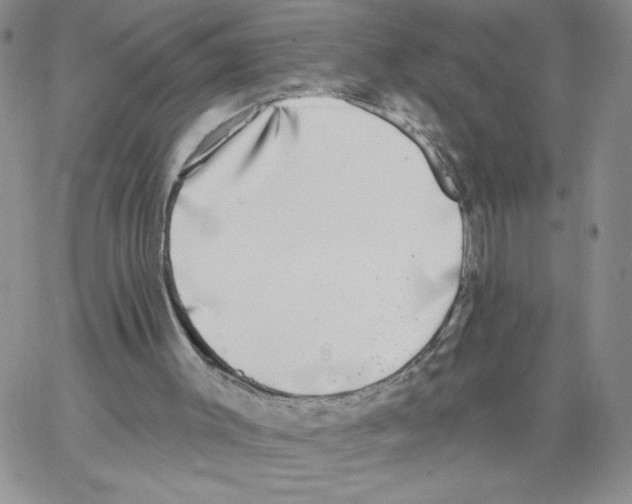 X0000066970003200604211918