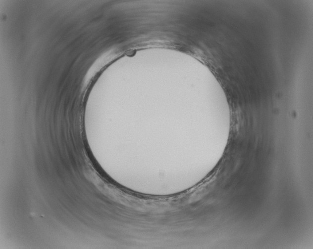 X0000066970004200604211918