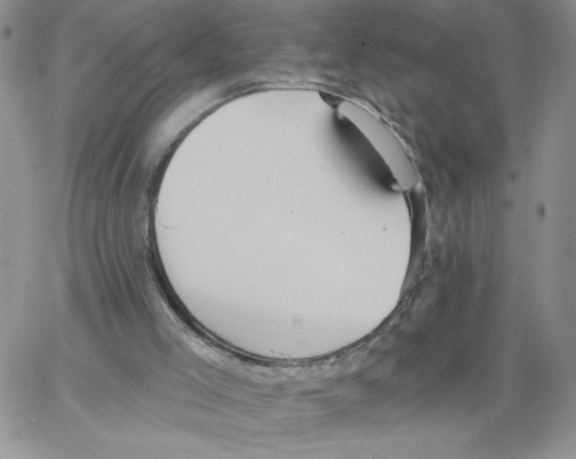 X0000066970005200604211918