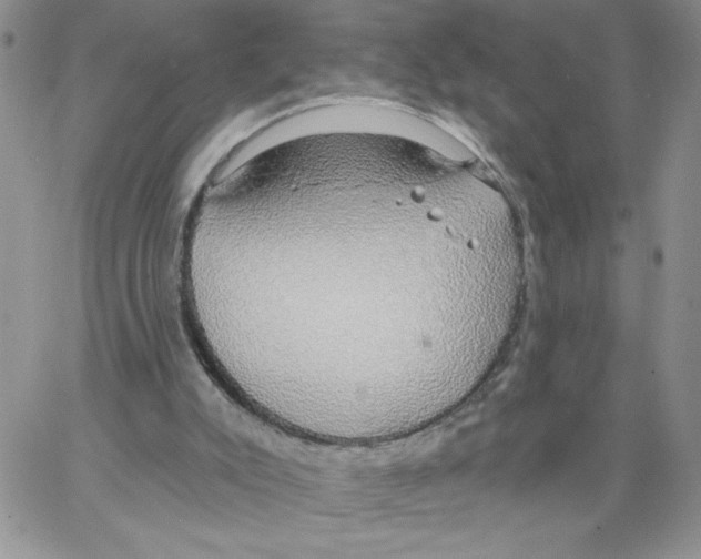 X0000066970007200604211918