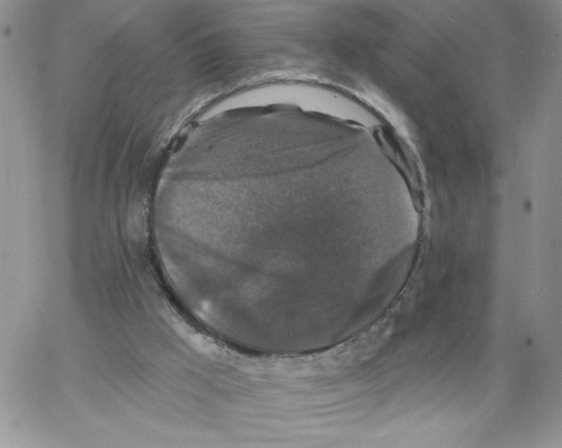 X0000066970009200604211918