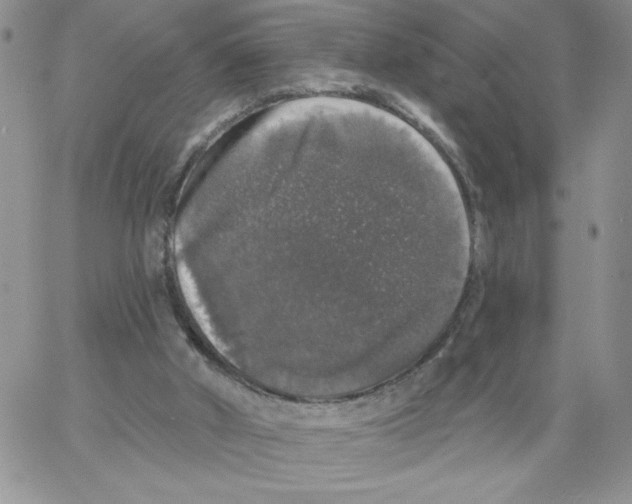 X0000066970010200604211918