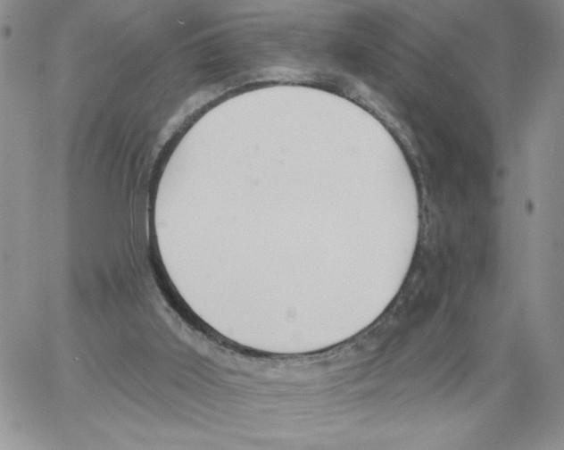 X0000066970011200604211918