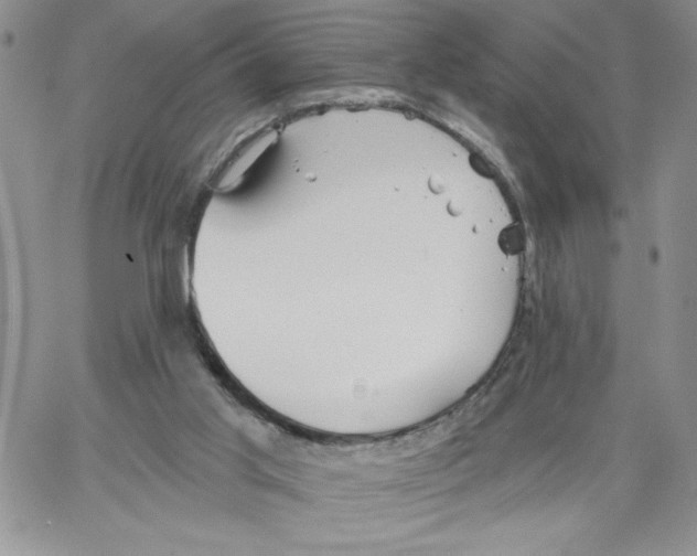 X0000066970013200604211918