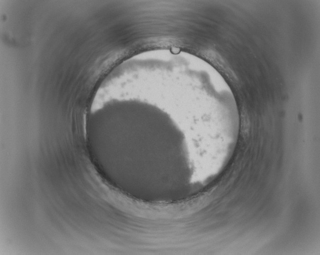 X0000066970014200604211918