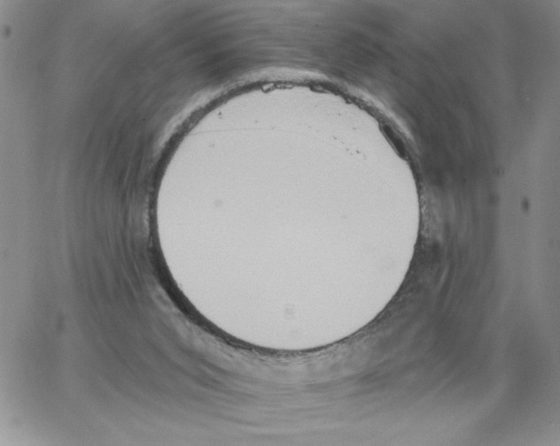 X0000066970015200604211918