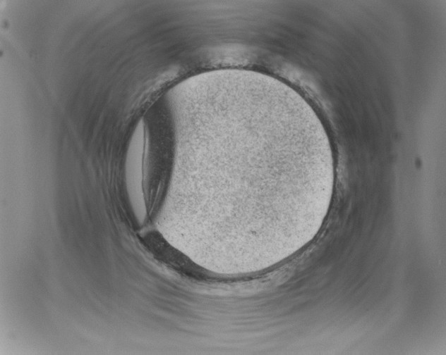 X0000066970017200604211918