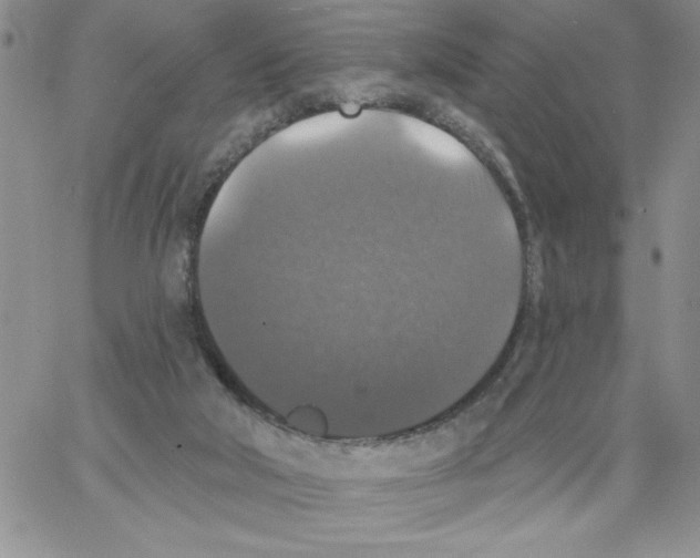 X0000066970018200604211918