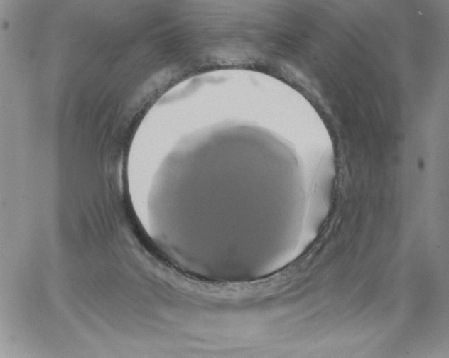 X0000066970019200604211918