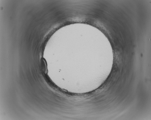 X0000066970020200604211918