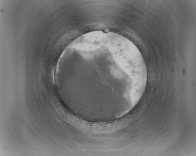 X0000066970022200604211918