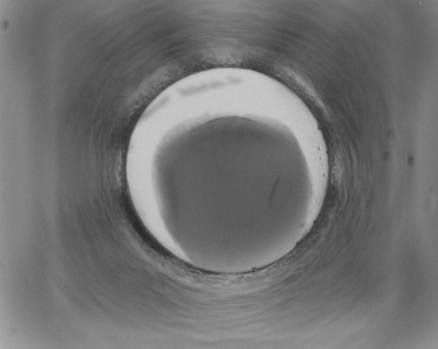 X0000066970023200604211918