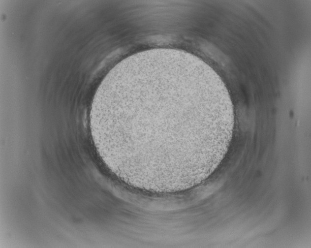 X0000066970024200604211918