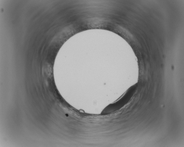 X0000066970025200604211918