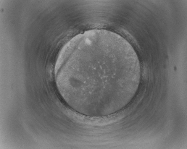 X0000066970026200604211918