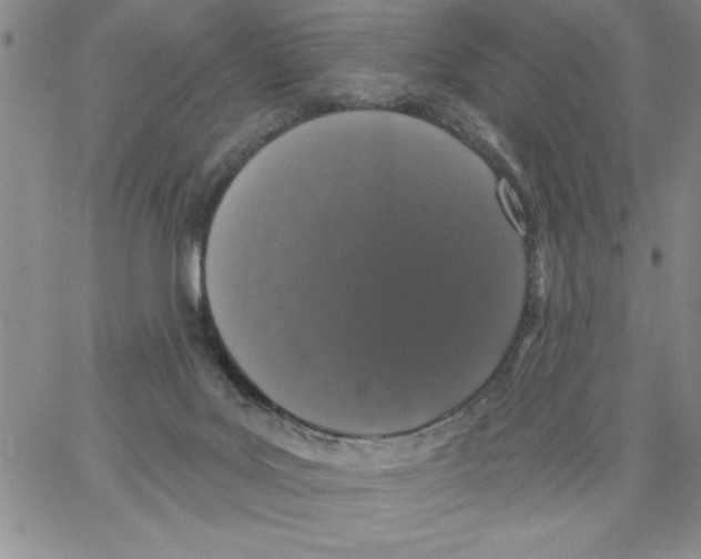 X0000066970027200604211918