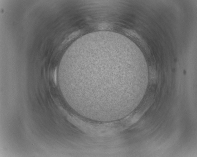 X0000066970028200604211918