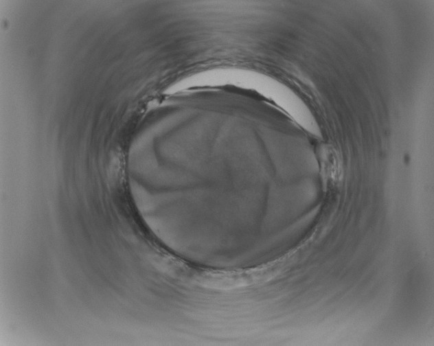 X0000066970029200604211918