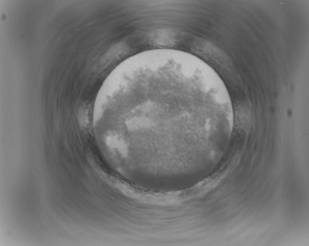 X0000066970032200604211918