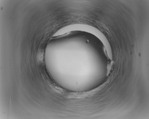 X0000066970033200604211918