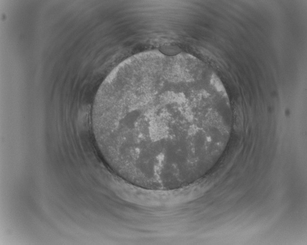 X0000066970034200604211918