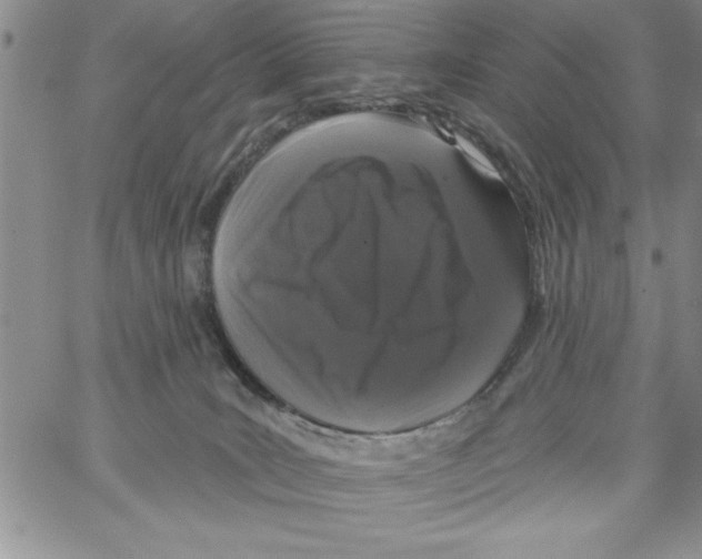 X0000066970035200604211918