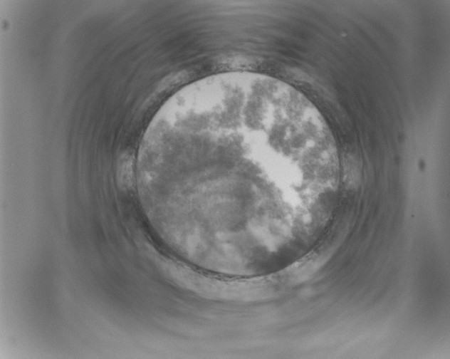 X0000066970036200604211918