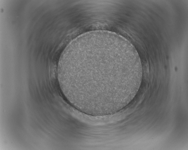 X0000066970038200604211918